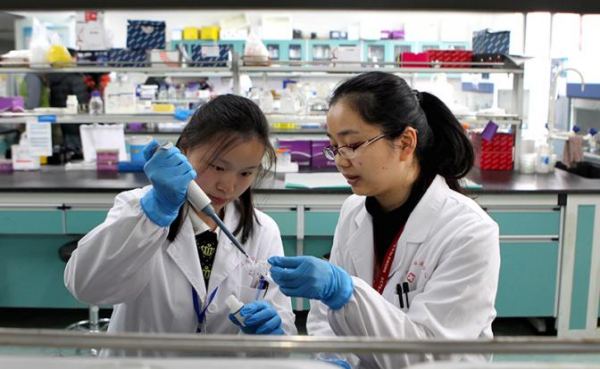 Путь к вечной жизни открыт: в Китае уже знают, как самостоятельно вырастить второе сердце Путь к вечной жизни открыт: в Китае уже знают, как самостоятельно вырастить второе сердце