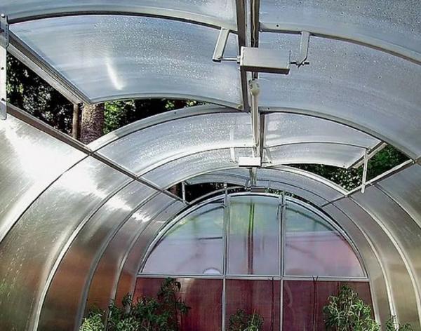 Обустройство теплицы внутри Обустройство теплицы внутри