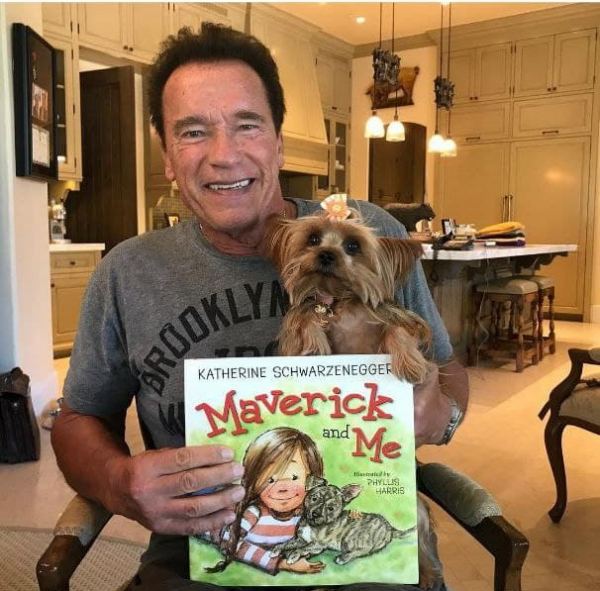 Дом Арнольда Шварценеггера: где живет железный Арни? Дом Арнольда Шварценеггера: где живет железный Арни?