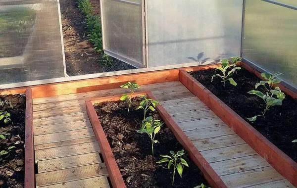 Обустройство теплицы внутри Обустройство теплицы внутри