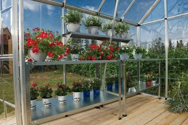 Обустройство теплицы внутри Обустройство теплицы внутри