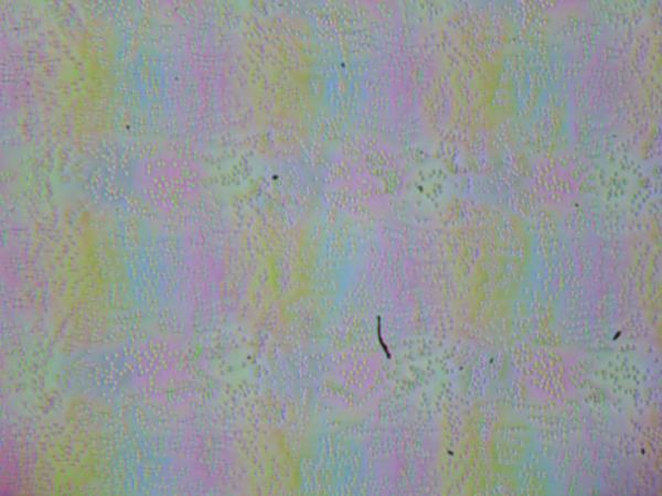 Обзор игрового ноутбука Thunderobot Range 17 Pro