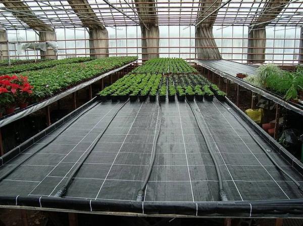 Обустройство теплицы внутри Обустройство теплицы внутри