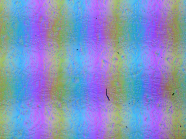 Обзор бизнес-ноутбука Acer TravelMate P6 14 (TMP614-53T-77RT) с сенсорным экраном и 5G/LTE