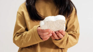 Набор MYMORI позволяет создавать игрушки из мицелия