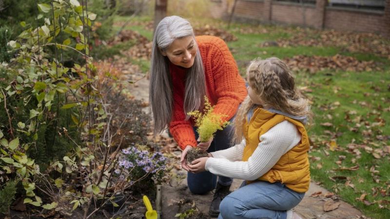 Бабушка с внучкой занимаются подготовкой грядок и сада к осенним заморозкам