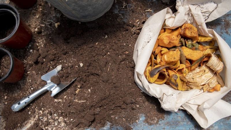 Органические удобрения для внесения осенью