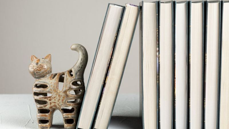 Подставка для книг на полке