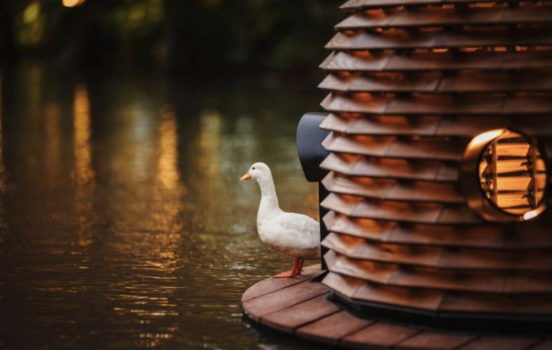 Дизайнер из Тайваня придумал укрытия для уток