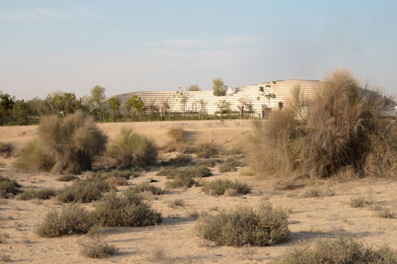 Новый Учебный центр Гафского леса в городе Дубай, ОАЭ