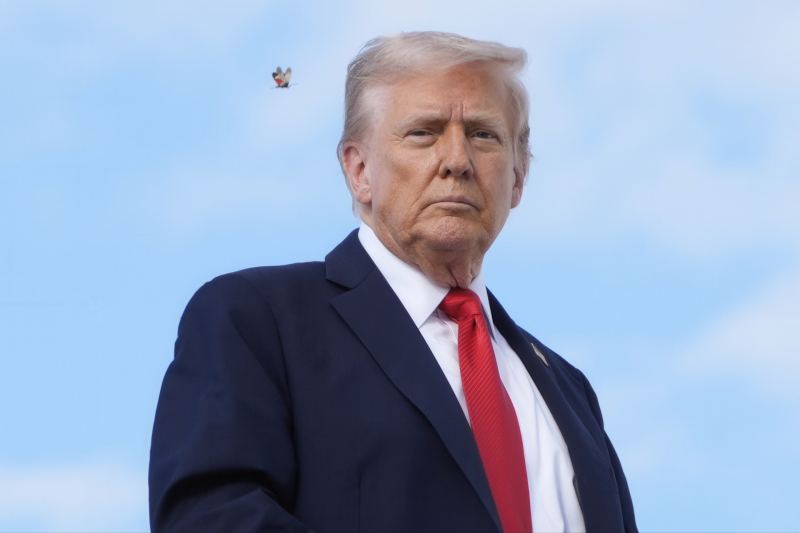 Психопаты и леворадикалы: почему Трамп ополчился на Сороса