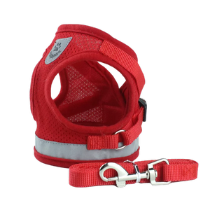 Шлейка с поводком для собак мелких пород и кошек