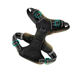 Шлейка для собак