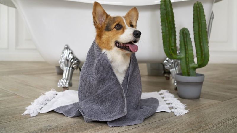 Собака сидит в ванной комнате на коврике с подогревом