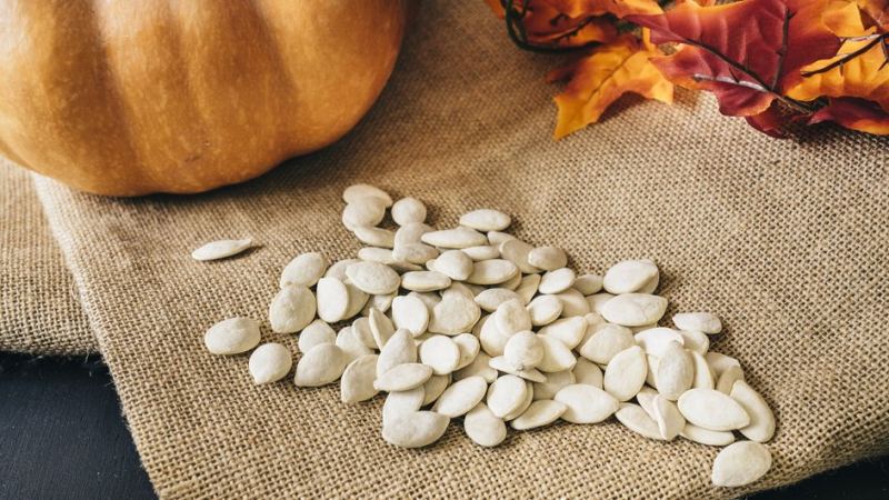 Семена тыквы сушатся перед применением в огороде