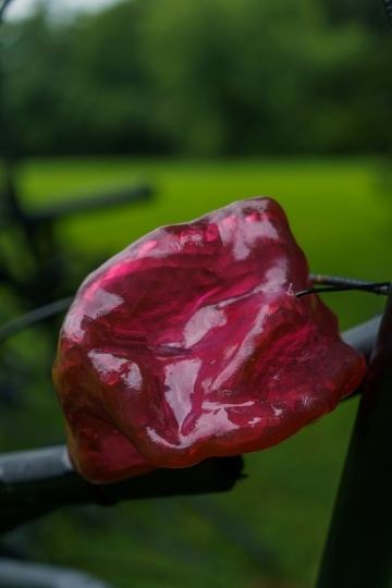 В «Царицыно» появился арт-объект на стыке искусства и науки