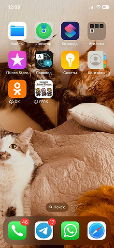 Как поставить пароль на приложение в iPhone