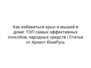 Как избавиться крыс и мышей в доме: ТОП самых эффективных способов, народных средств | Статьи от Арнест ЮниРусь